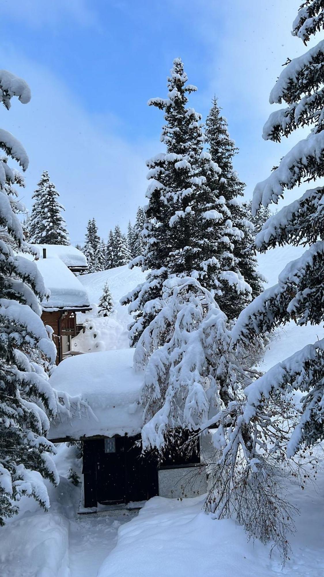Chalet Baur Arosa Exteriör bild
